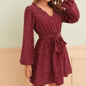 NWOT V-Neck Lantern Sleeve Belted Dot Print Dress